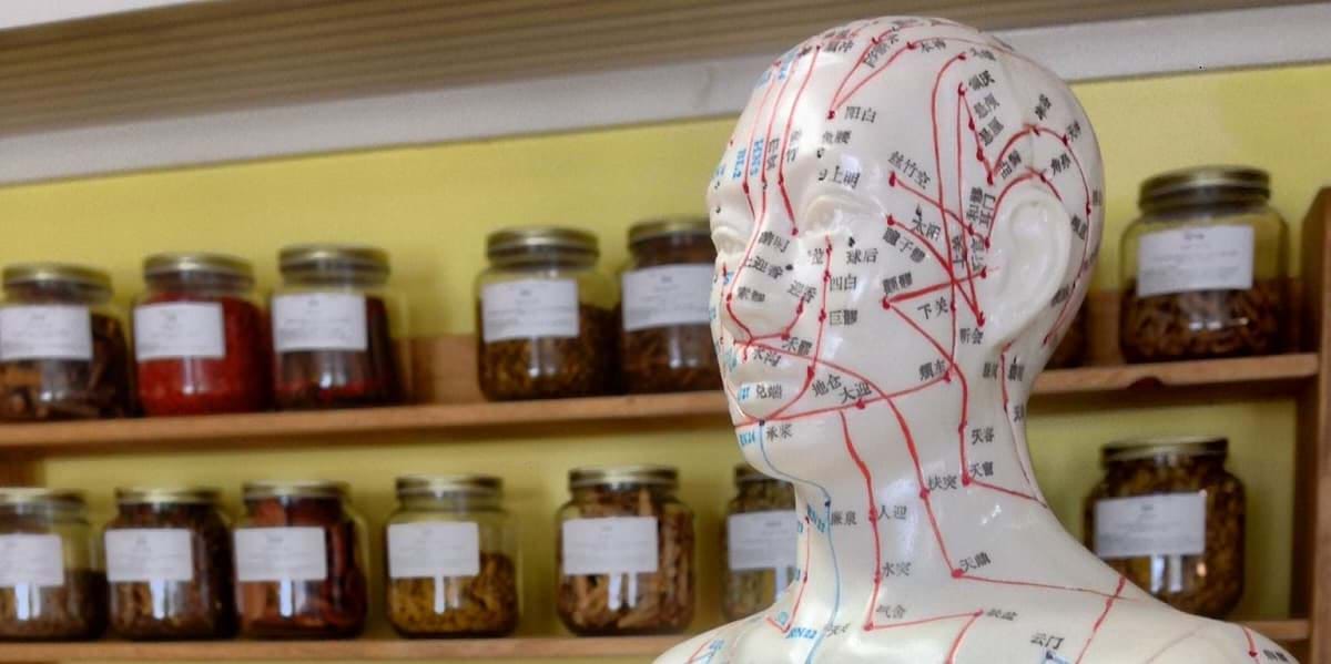 Model of human head with acupuncture points; jars of chinese herbal medicine on shelves behind.