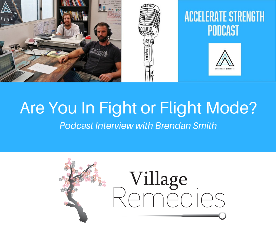 Graphic explaining the fight or flight response