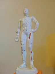 Distal Needling Acupuncture Procedure at Village Remedies