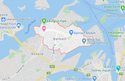 Google Search Result for Village Remedies