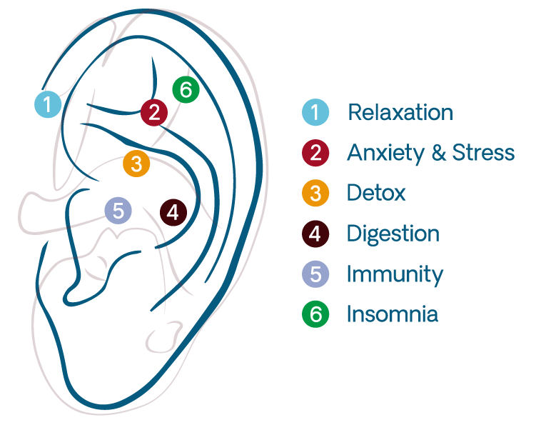 Diagram of an ear with acupressure points, inspired by TCM and acupuncture practices.