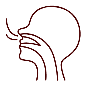 Outline diagram of human head showing nasal, oral airways, throat passages, and TCM anatomy.