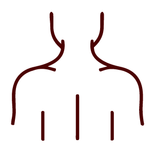 Simple line drawing of a human upper body from the back, ideal for acupuncture or TCM diagrams.